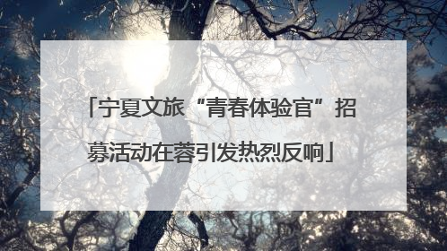 宁夏文旅“青春体验官”招募活动在蓉引发热烈反响
