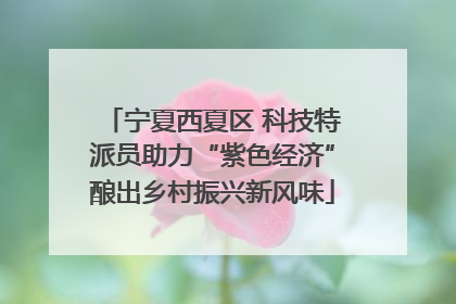 宁夏西夏区 科技特派员助力“紫色经济”酿出乡村振兴新风味