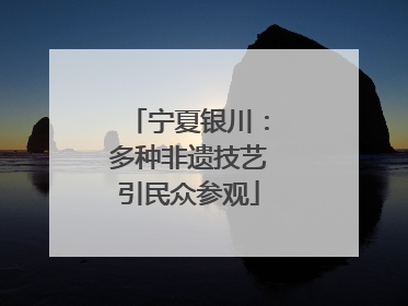 宁夏银川：多种非遗技艺引民众参观