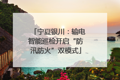 宁夏银川：输电智能巡检开启“防汛防火”双模式