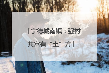 宁德城南镇：强村共富有“土”方