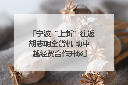 宁波“上新”往返胡志明全货机 助中越经贸合作升级