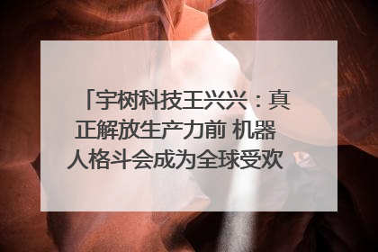 宇树科技王兴兴：真正解放生产力前 机器人格斗会成为全球受欢迎的赛事｜科技观察