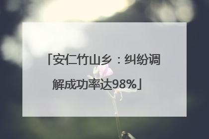 安仁竹山乡：纠纷调解成功率达98%