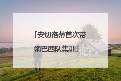 安切洛蒂首次带领巴西队集训