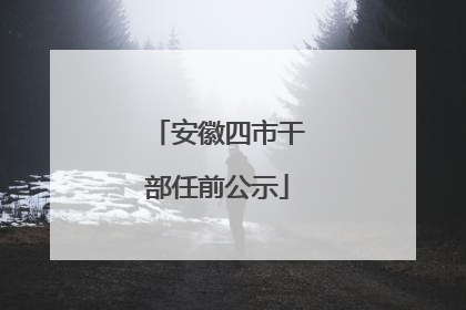 安徽四市干部任前公示