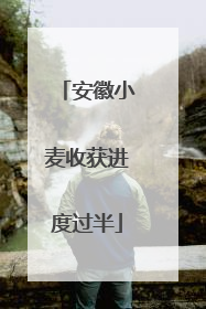 安徽小麦收获进度过半