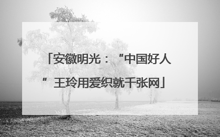 安徽明光：“中国好人”王玲用爱织就千张网