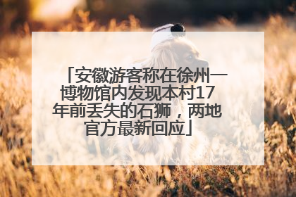安徽游客称在徐州一博物馆内发现本村17年前丢失的石狮，两地官方最新回应