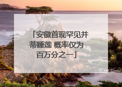 安徽首现罕见并蒂睡莲 概率仅为百万分之一