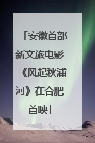安徽首部新文旅电影《风起秋浦河》在合肥首映