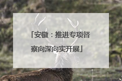 安徽：推进专项督察向深向实开展