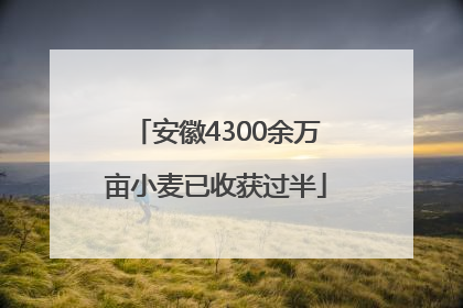 安徽4300余万亩小麦已收获过半