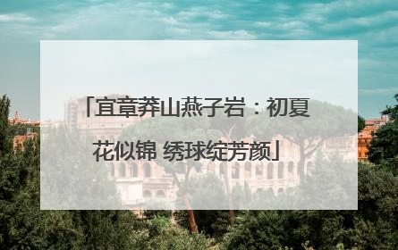 宜章莽山燕子岩：初夏花似锦 绣球绽芳颜