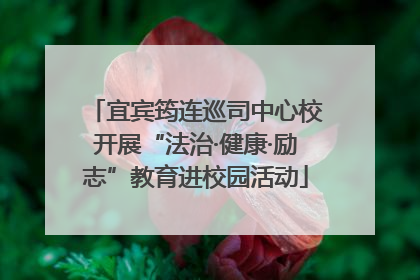 宜宾筠连巡司中心校开展“法治·健康·励志”教育进校园活动
