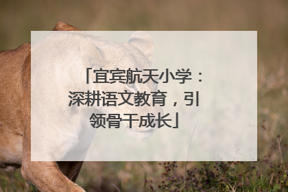 宜宾航天小学：深耕语文教育，引领骨干成长