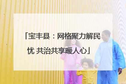 宝丰县：网格聚力解民忧 共治共享暖人心