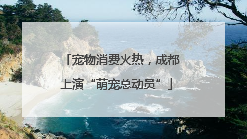 宠物消费火热，成都上演“萌宠总动员”