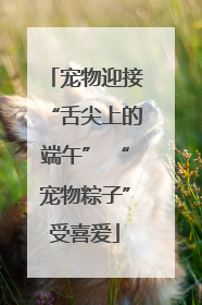 宠物迎接“舌尖上的端午” “宠物粽子”受喜爱