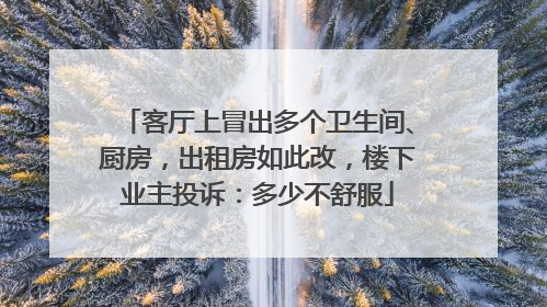客厅上冒出多个卫生间、厨房，出租房如此改，楼下业主投诉：多少不舒服