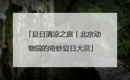 夏日清凉之旅丨北京动物园的奇妙夏日大赏