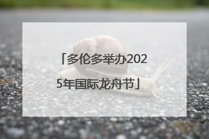 多伦多举办2025年国际龙舟节