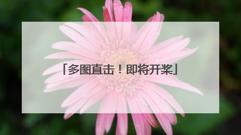 多图直击！即将开桨