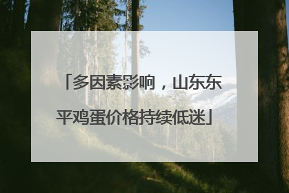 多因素影响，山东东平鸡蛋价格持续低迷