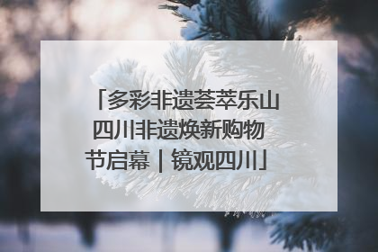 多彩非遗荟萃乐山 四川非遗焕新购物节启幕｜镜观四川