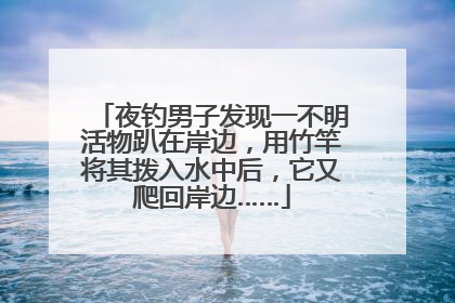 夜钓男子发现一不明活物趴在岸边，用竹竿将其拨入水中后，它又爬回岸边……
