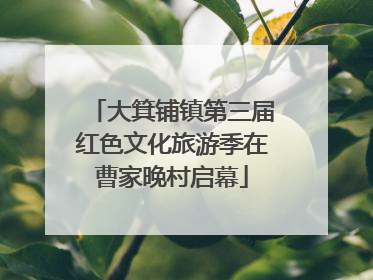 大箕铺镇第三届红色文化旅游季在曹家晚村启幕
