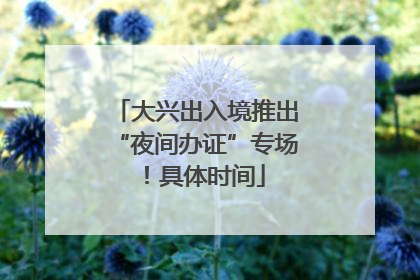 大兴出入境推出“夜间办证”专场！具体时间