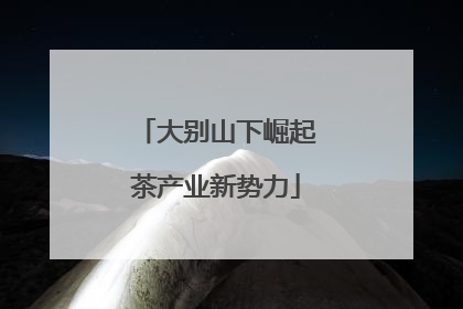 大别山下崛起茶产业新势力