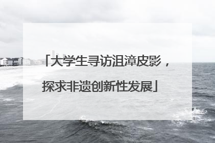大学生寻访沮漳皮影，探求非遗创新性发展