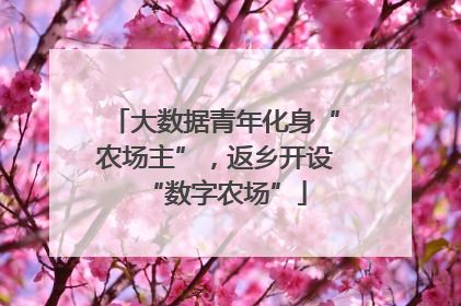 大数据青年化身“农场主”，返乡开设“数字农场”