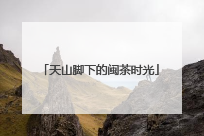 天山脚下的闽茶时光