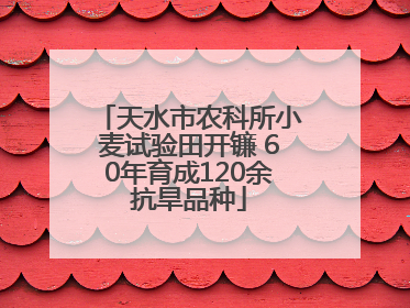 天水市农科所小麦试验田开镰 60年育成120余抗旱品种