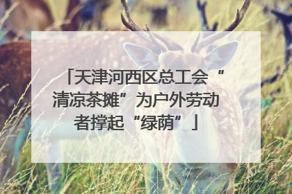 天津河西区总工会“清凉茶摊”为户外劳动者撑起“绿荫”