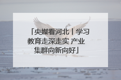 央媒看河北丨学习教育走深走实 产业集群向新向好