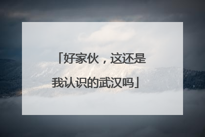 好家伙，这还是我认识的武汉吗