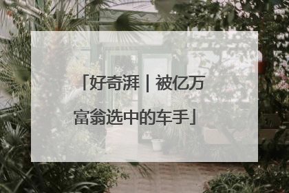 好奇湃｜被亿万富翁选中的车手