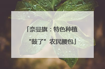 奈曼旗：特色种植“鼓了”农民腰包