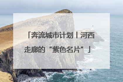 奔流城市计划丨河西走廊的“紫色名片”