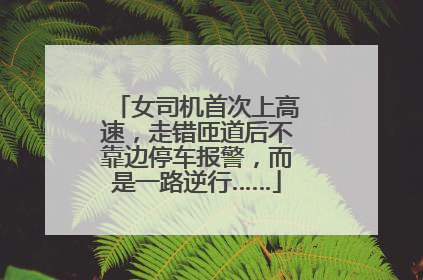 女司机首次上高速，走错匝道后不靠边停车报警，而是一路逆行……