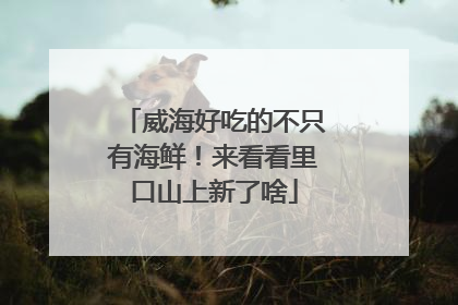 威海好吃的不只有海鲜！来看看里口山上新了啥