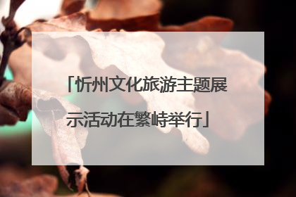 忻州文化旅游主题展示活动在繁峙举行