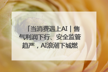 当消费遇上AI｜售气利润下行、安全监管趋严，AI浪潮下城燃企业如何破局