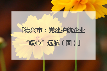 德兴市：党建护航企业“暖心”远航（图）