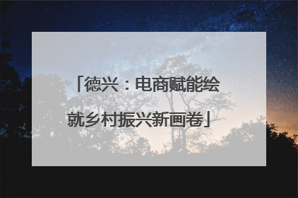 德兴：电商赋能绘就乡村振兴新画卷