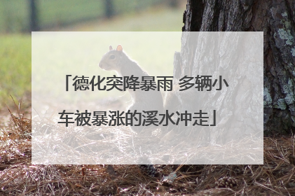 德化突降暴雨 多辆小车被暴涨的溪水冲走